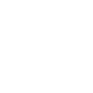 logo wordpress