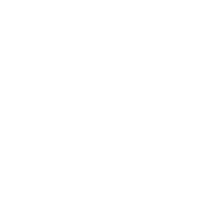 logo angular